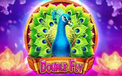 Double Fly