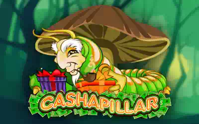 Cashapillar